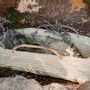 Objets de décoration - Corbeilles et paniers en fibre naturelle – Artisanat COSYDAR-DECO - COSYDAR-DECO