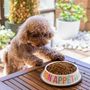 Kitchen utensils - PACK OF 2 PET FOOD / WATER BOWL - FISURA