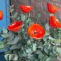 Garden accessories - Medium size red cala flower - CARNEOL GLASS