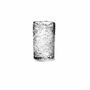 Verres - Coupe Zion - SEMPRE IN & OUTDOOR LIVING BV