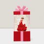 Decorative objects - LED Snow Globe – Flamenco Dancer Gift Box - BLUE STAR B.V.