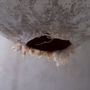Plafonniers - Grande lampe suspendue Svitylo — Forme de lune sculpturale en fibre de - PLETOSTUDIO