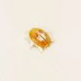 Brooches - Cocinelle brooch in blond horn - L INDOCHINEUR X RIVÊT
