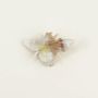 Broches - Broche Abeille en corne blonde - L INDOCHINEUR X RIVÊT