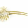 Barrettes - Big double coral hairpin in plain black horn - L INDOCHINEUR X RIVÊT