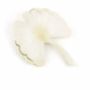 Brooches - Gingko brooch in blond horn - L INDOCHINEUR X RIVÊT
