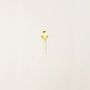 Kitchen utensils - Brass Rambutan spice spoon - L INDOCHINEUR X RIVÊT