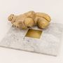 Glass - Cygnus trivet in black stone with brass inlay - L INDOCHINEUR X RIVÊT