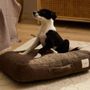Pet accessories - PET ACCESORIES - CALMA HOUSE