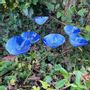 Floral decoration - Medium Glass Calla Flower For Outside In White-D.Blue - CARNEOL GLASS