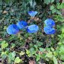 Floral decoration - Medium Glass Calla Flower For Outside In White-D.Blue - CARNEOL GLASS