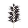 Objets de décoration - RAYUNG - Feuille naturelle noire - Décoration XXL - HYDILE