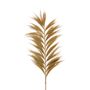 Objets de décoration - RAYUNG - Feuille naturelle - Décoration XXL - HYDILE