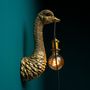 Wall lamps - Baby Franz Josef ostrich wall lamp - WERNS