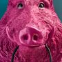 Appliques - Applique Murale Sanglier Willy, magenta - WERNS