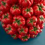 Vases - Vase Tomates S - WERNS