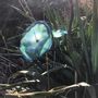 Garden accessories - Medium Blue-Green Glass Flower (50cm stem) - CARNEOL GLASS