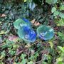 Floral decoration - Middle sized Glass Calla Lilly For Outside In Green-D.Blue - CARNEOL GLASS