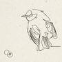 Gifts - Note card - Minimalist illustration - COSETTE ET LES LYS