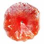 Décorations florales - Fleur en verre de grande taille pour l'extérieur de couleur transparente, orange, rouge avec tige en acier inoxydable de 50 cm - CARNEOL GLASS