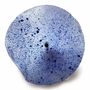 Floral decoration - Glass flower in transparent, dark blue, light blue - CARNEOL GLASS