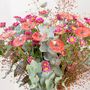 Floral decoration - Round small flower for outdoor use in transparent, red - CARNEOL GLASS
