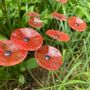 Floral decoration - Round small flower for outdoor use in transparent, red - CARNEOL GLASS