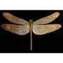 Autres décorations murales - DRAGONFLY - Décoration murale laquée - MAI HOME DECOR PTE LIMITED