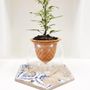 Vases - Clay pot - PIANO B - 3D self-irrigating design with glass for top - COMMON PLACE YOUR URBAN JUNGLE