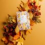 Scents - fragranced sachets - KARENA INTERNATIONAL