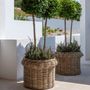 Decorative objects - Planter basket Hendrik - GOMMAIRE