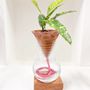 Vases - Nomad ENAMELLED — the autonomous 3D TERRACOTTA vase - COMMON PLACE YOUR URBAN JUNGLE