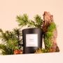 Bougies - Bougie Sapin verre noir 180g - Cire 100% végétale - TANDEM FRAGRANCES