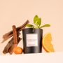 Bougies - Bougie Cannelle orange verre noir 180g - Cire 100% végétale - TANDEM FRAGRANCES