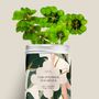 Floral decoration - Seed Kit - Grow Your Dreams - DIAIWAIE