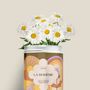 Floral decoration - Sowing Kit - La Bohème - DIAIWAIE