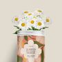 Décorations florales - Kit à semer - D'amour et d'eau fraîche - DIAIWAIE