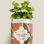 Décorations florales - Kit à semer - Bonne fête maman - DIAIWAIE