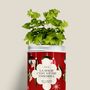 Floral decoration - Sowing Kit - Magic is being together - DIAIWAIE