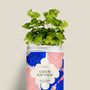 Floral decoration - Sowing Kit - Wild Heart - DIAIWAIE