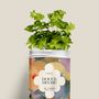 Floral decoration - Sowing Kit - Douce Heure - DIAIWAIE