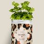 Décorations florales - Kit à semer - Mama <3 - DIAIWAIE