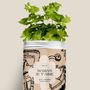Floral decoration - Seed Kit - Mom I love you - DIAIWAIE