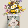 Décorations florales - Kit à semer - Graine de folie - DIAIWAIE