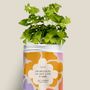 Floral decoration - Sowing Kit - We reap what we love - DIAIWAIE