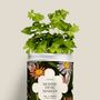 Décorations florales - Kit à semer - Bonne fête maman - DIAIWAIE