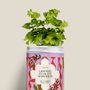 Décorations florales - Kit à semer - Liberté égalité sororité - DIAIWAIE