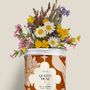 Floral decoration - Sowing Kit - Queen Mum - DIAIWAIE
