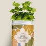 Floral decoration - Sowing Kit - Mother Nightlight/Green - DIAIWAIE