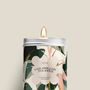 Candles - Candle - Make your ideas shine - cotton flower scent - DIAIWAIE